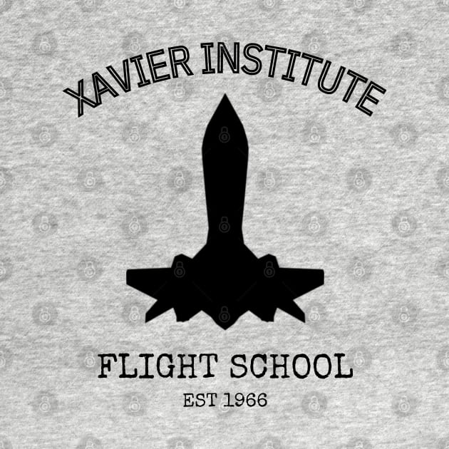 Xavier Institute Flight School by RedMonkey414